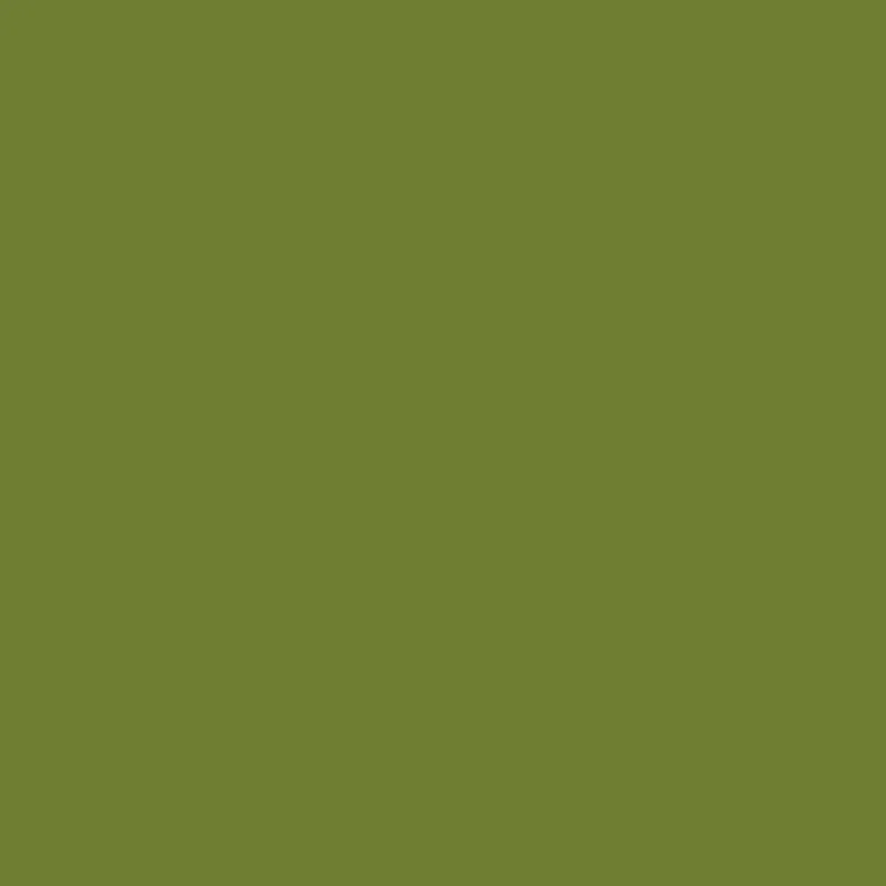 Avery Supreme Wrapping Film Pearl Light Green Gloss