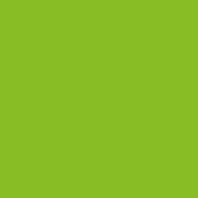 Avery Supreme Wrapping Film Gloss Lime Green